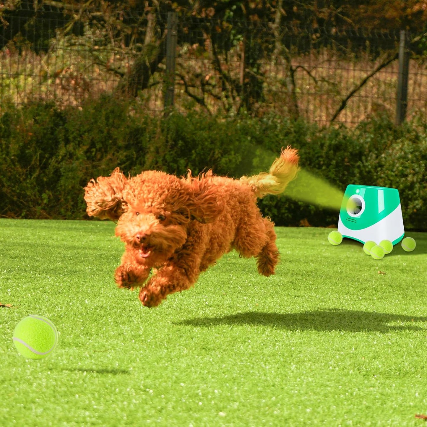 Pet Tennis Ball Launcher