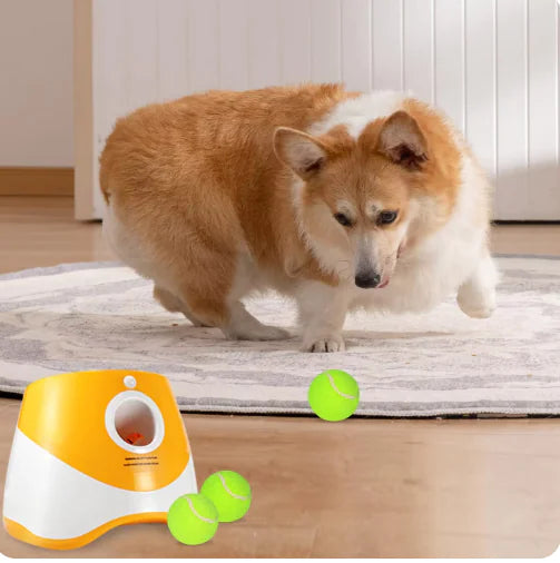 Pet Tennis Ball Launcher